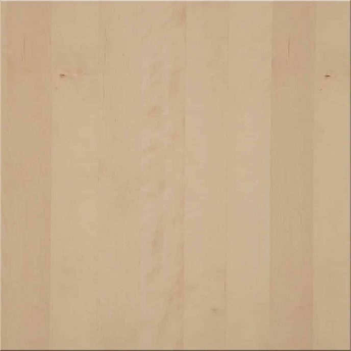 Ahorn europäisch Ahorn europäisch